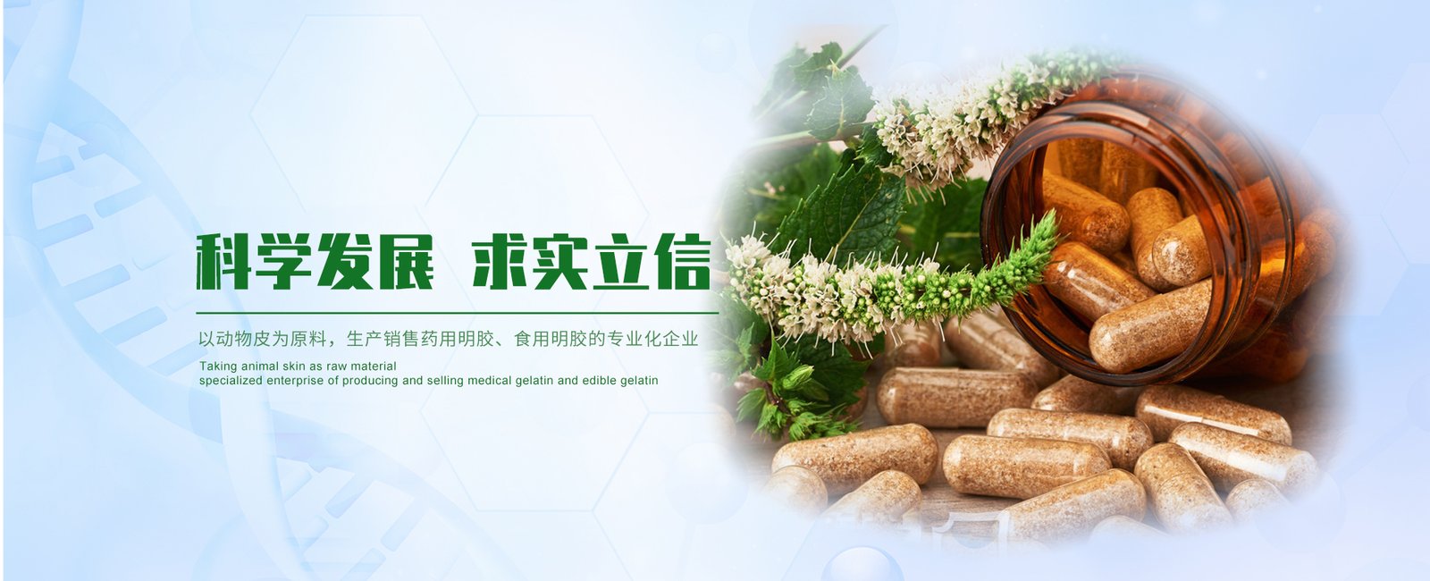 About Edible Gelatin